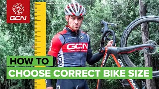 How to Choose The Correct Bike Size [upl. by Ariay399]