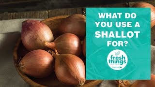 Fresh Things What Do You Use a Shallot For [upl. by Cordalia778]