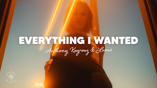 Anthony Keyrouz amp Lunis  Everything I Wanted Lyrics [upl. by Aloise133]