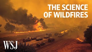 The Science of Wildfires Why Theyre Getting Worse  WSJ [upl. by Sheets]