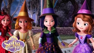 The Broomstick Dance  Music Video  Sofia the First  disneyjr [upl. by Mohammad382]