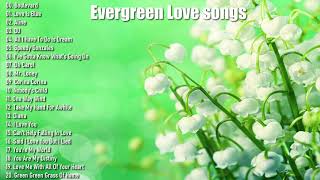 Evergreen Love songs Full Album Vol 97  Various Artists [upl. by Schafer]