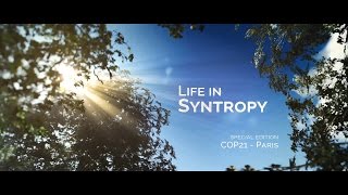 Life in Syntropy [upl. by Nilcaj]