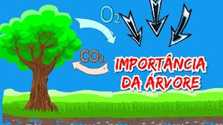 A importância da árvore  Dia árvore Vídeo EducativoEduca Ativa [upl. by Dnalor]