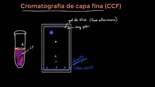 Cromatografía de capa fina [upl. by Nyladnohr]