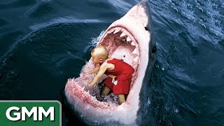 6 Strangest Things Swallowed by a Shark [upl. by Ajin]