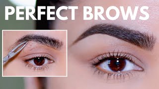 HOW TO GROOM SHAPE amp MAINTAIN EYEBROWS AT HOME BEGINNER FRIENDLY [upl. by Airetnohs579]