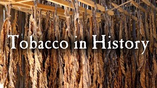 Growing Tobacco In Early America [upl. by Malik922]