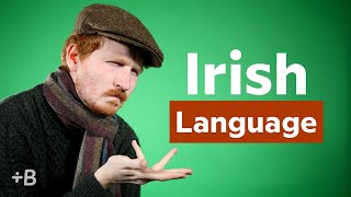 What Language Is Spoken In Ireland [upl. by Dieball]