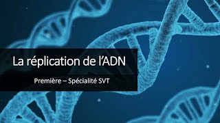 Cours Spé SVT 1eres  La réplication de lADN [upl. by Najar563]