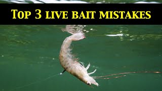 Top 3 LIVE BAIT RIGGING MISTAKES Underwater Evidence [upl. by Irb24]