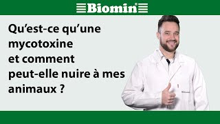 Qu’estce qu’une mycotoxine et comment peutelle nuire à mes animaux [upl. by Ayiram]