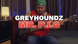 MR PIG  GREYHOUNDZ BASS COVER [upl. by Neleb]