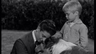 Lassie  Episode 116  quotTransitionquot  Season 4 13 12011957 [upl. by Gaylene74]