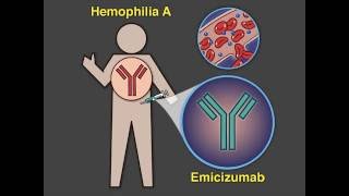 Improving Outcomes in Hemophilia A [upl. by Las]