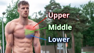 Calisthenics CHEST Workout for Beginners amp Advanced  6 Exercises [upl. by Trygve]