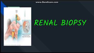 Renal Biopsy Indication contraindication Procedure and complications [upl. by Given]