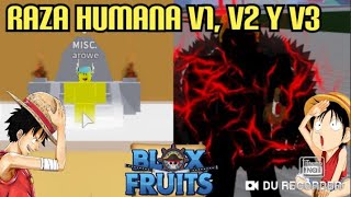 COMO EVOLUCIONAR LA RAZA HUMANO A V2 Y V3ROBLOX BLOX FRUITS GUIA [upl. by Scrivings]