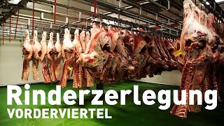 Rinderzerlegung  Teil 1 Vorderviertel [upl. by Nedgo]