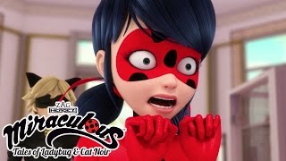 Miraculous Ladybug and Cat Noir Dynamic Duo Highlights [upl. by Finnigan120]