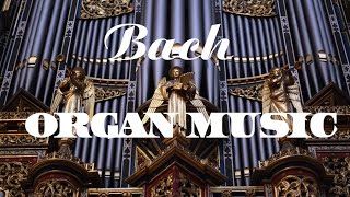 Bach  The Best Organ Music [upl. by Eirellav]