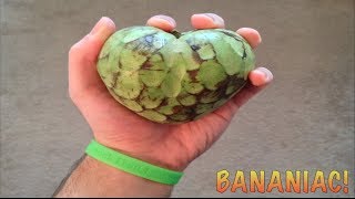 How To Eat A Cherimoya Fruit Custard Apple [upl. by Gilba]