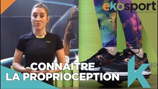 Tutoriel Proprioception  Exercices proprioception chevilles [upl. by Curzon260]