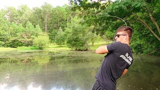 How To Fish Small Ponds  Bass Fishing Tips [upl. by Anestassia375]