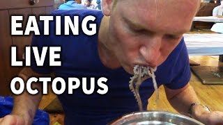 Eating Live Octopus in Korea [upl. by Naloc360]