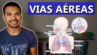 VIAS AÉREAS l Anatomia e função Respiratório 02 [upl. by Yeo]