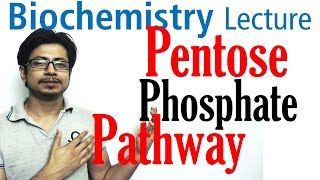 Pentose phosphate pathway [upl. by Felton]