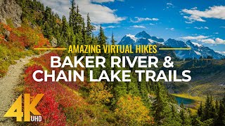 4K Virtual Hike Near River through the Forest  Baker River Trail amp Chain Lake Trail [upl. by Marijane228]