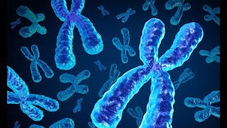 Cytogenetics [upl. by Fallon]