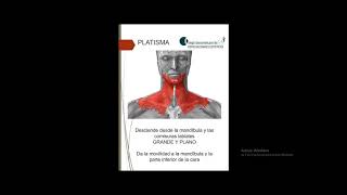 Anatomía funcional para la estética facial [upl. by Shayna]