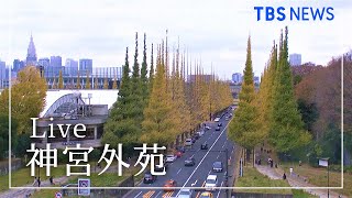 【LIVE】明治神宮外苑 いちょう並木 ライブカメラ  Jingu Gaien Tokyo [upl. by Irrot]