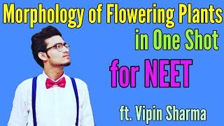 Morphology of Flowering Plants in One Shot Best Video for NEET by Vipin Sharma [upl. by Gerald]