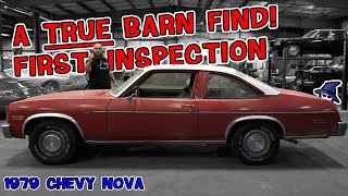 Barn Find Alert CAR WIZARD inspects a 79 Nova for the first time in 15 years Will he restore it [upl. by Sayce]