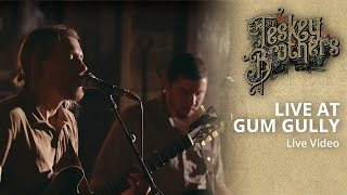 The Teskey Brothers  Live at Gum Gully [upl. by Dennard]