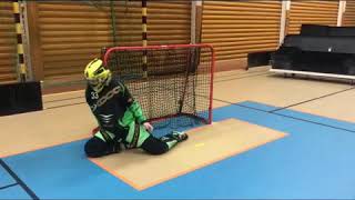 Goalie floorball training [upl. by Nagud507]