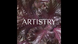 Meet the Artistry™ Brand  Skin Nutrition  Amway [upl. by Mallen]