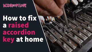 DIY Accordion Repair  How To Fix A Raised Key [upl. by Liatnahs704]