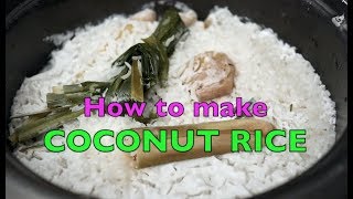 How to make Nasi Lemak Rice in a Rice Cooker  Coconut Rice  Recipe In Description [upl. by Aerdnaek]