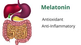 Understanding Melatonin with Dr Carrie Jones [upl. by Lucchesi]