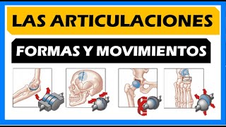 ANATOMIA DE LA RODILLA  Sistema Oseo  Sistema ligamentoso [upl. by Duwad770]