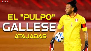 ASÍ ATAJA PEDRO GALLESE  Mejores Atajadas  Selección Peruanaᴴᴰ [upl. by Gazo]