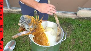 FRYING 5ft IGUANA WHOLE Cold Iguanas are Adapting to Cold Weather [upl. by Ahsenot797]