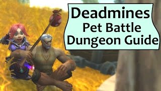 Deadmines Pet Battle Dungeon Guide [upl. by Darnell]