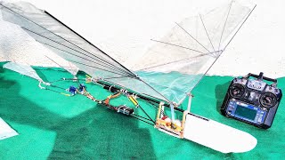 How to make Rc ornithopter  Robotic Bird [upl. by Llerrej]