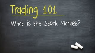 Trading 101 What is the Stock Market [upl. by Novyart]