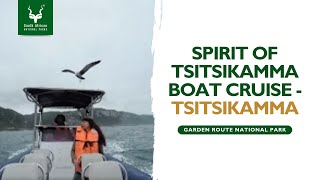 Spirit of Tsitsikamma Boat Cruise  Tsitsikamma  Garden Route National Park SANParks [upl. by Ainezey875]